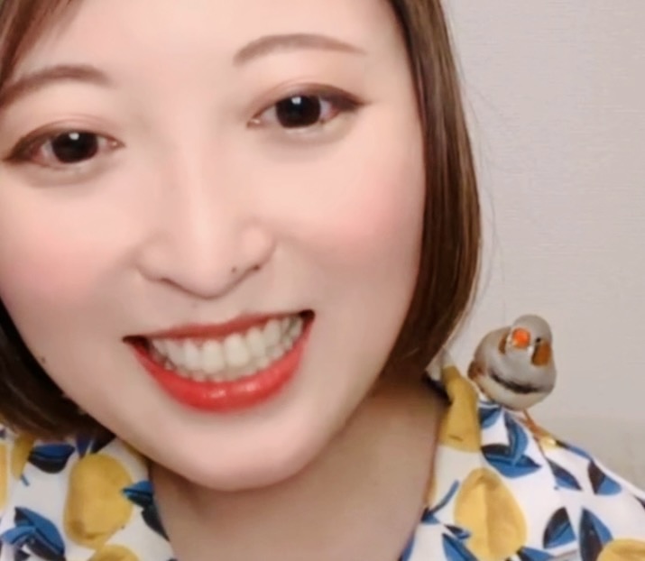 肩にキンカチョウのぴよを乗せて笑うゆらり