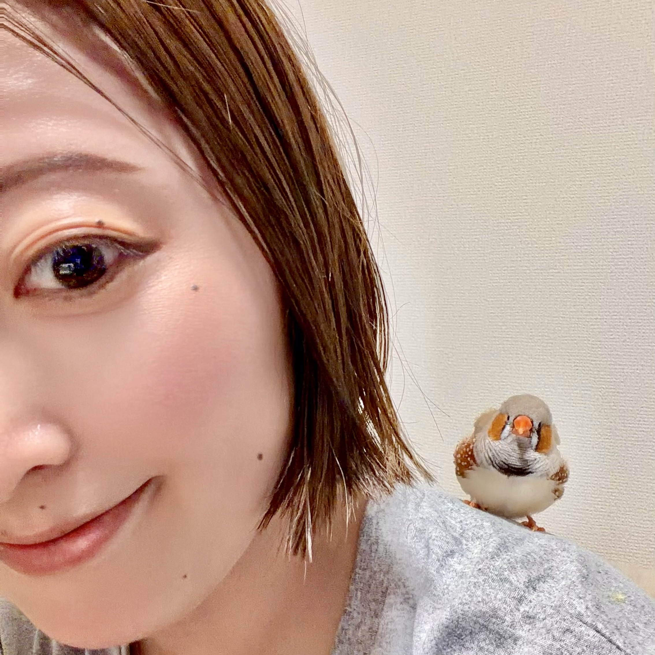 肩にキンカチョウのぴよちを乗せたゆらり